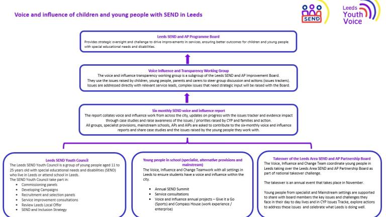 SEND Youth Voice model